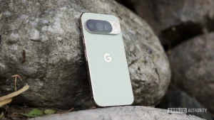 Google Pixel 10 Pro Display